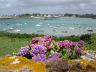 Le port de Portsall 