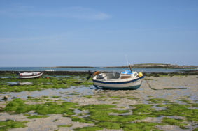 ile du Bec