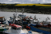 bateau a l aber Ildut